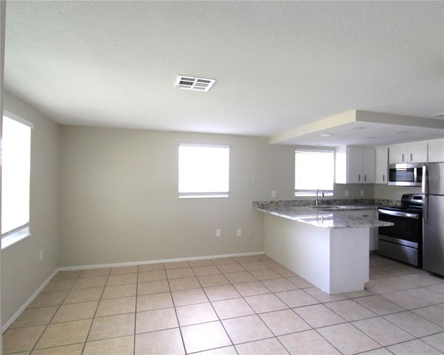 Kitchen/Living Area