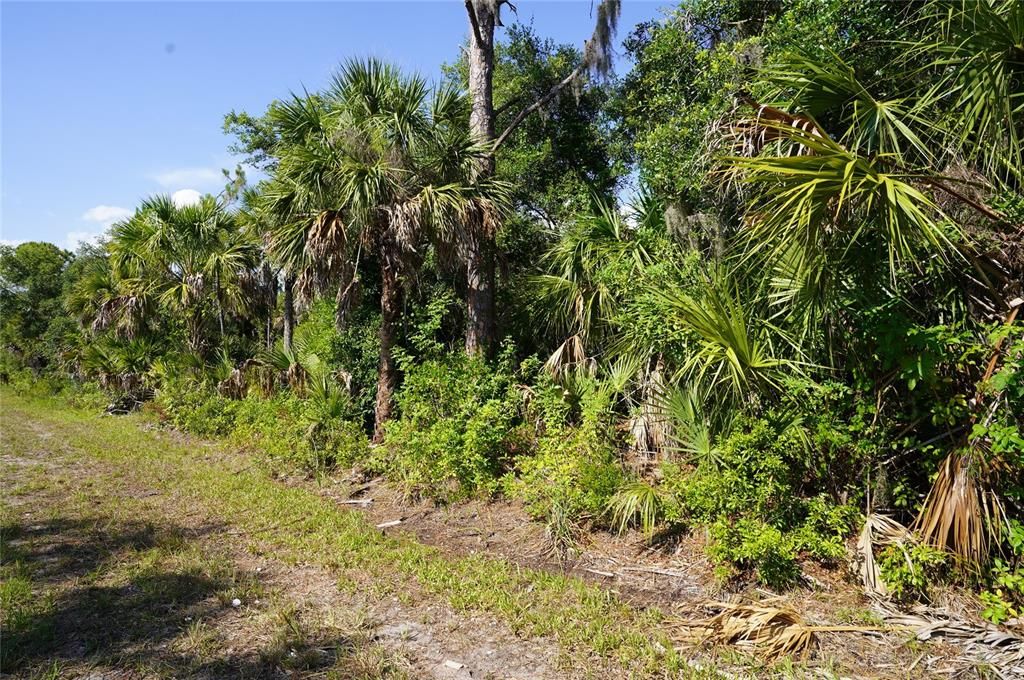 Active With Contract: $25,000 (0.46 acres)