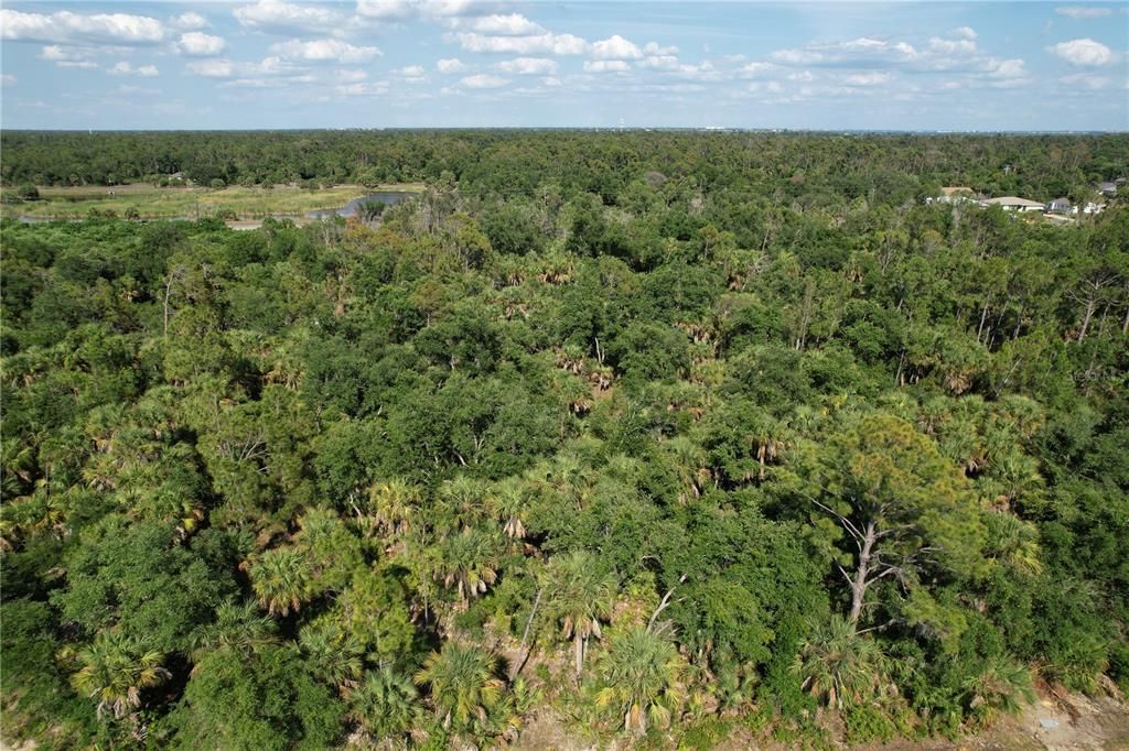 Active With Contract: $25,000 (0.46 acres)
