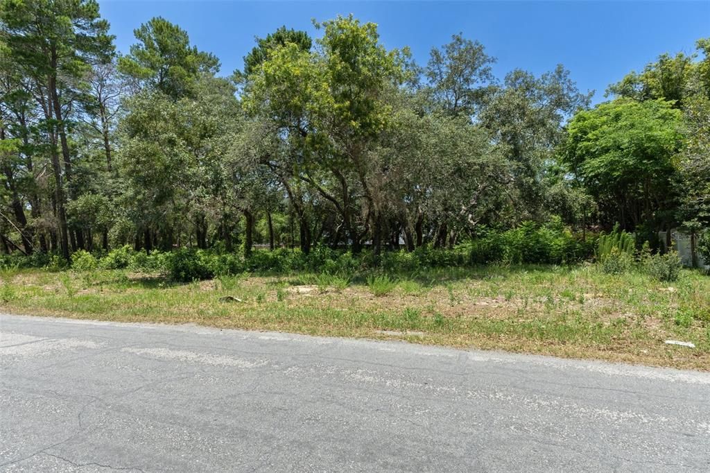 Active With Contract: $40,000 (0.22 acres)