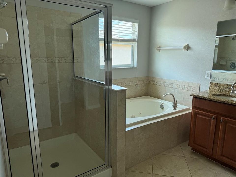 Master Shower & Garden Tub