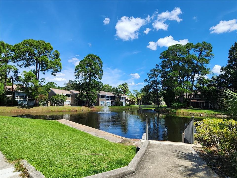 Nature walks around the pond