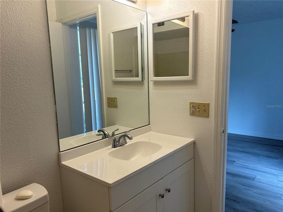 En-Suite Bathroom in Master Bedroom