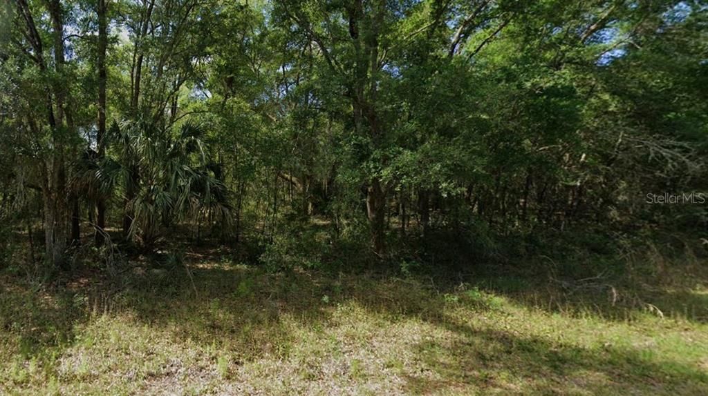 For Sale: $13,500 (0.29 acres)
