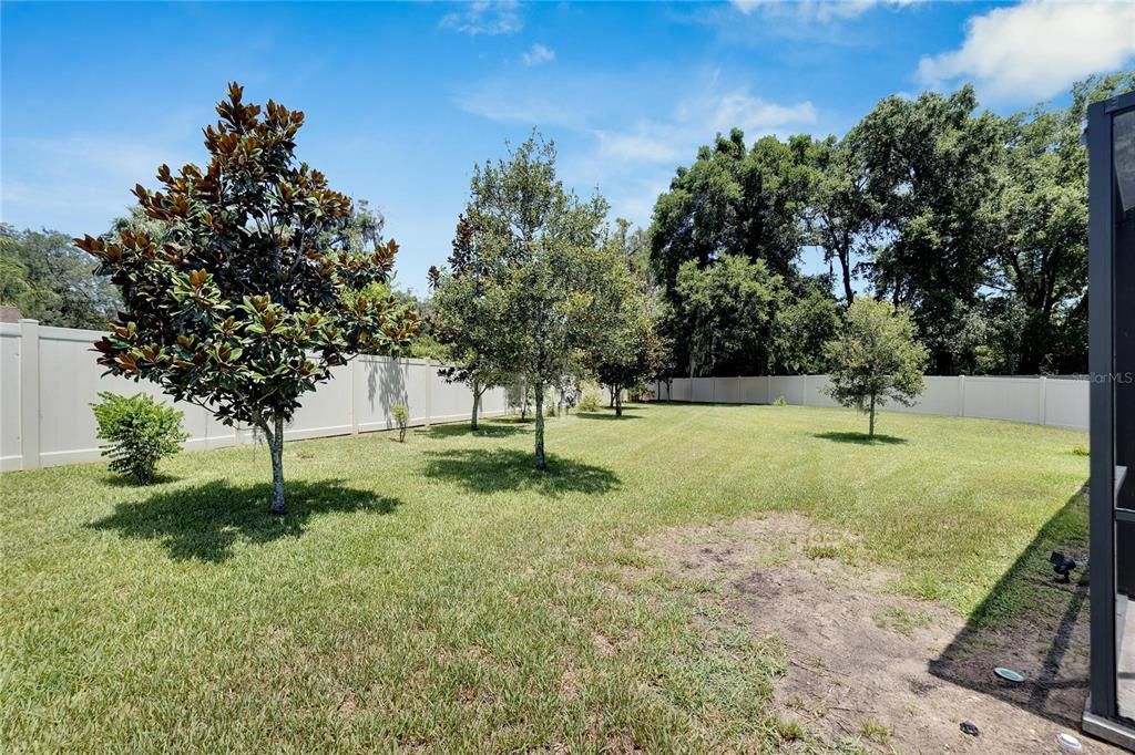 Large fenced yard!