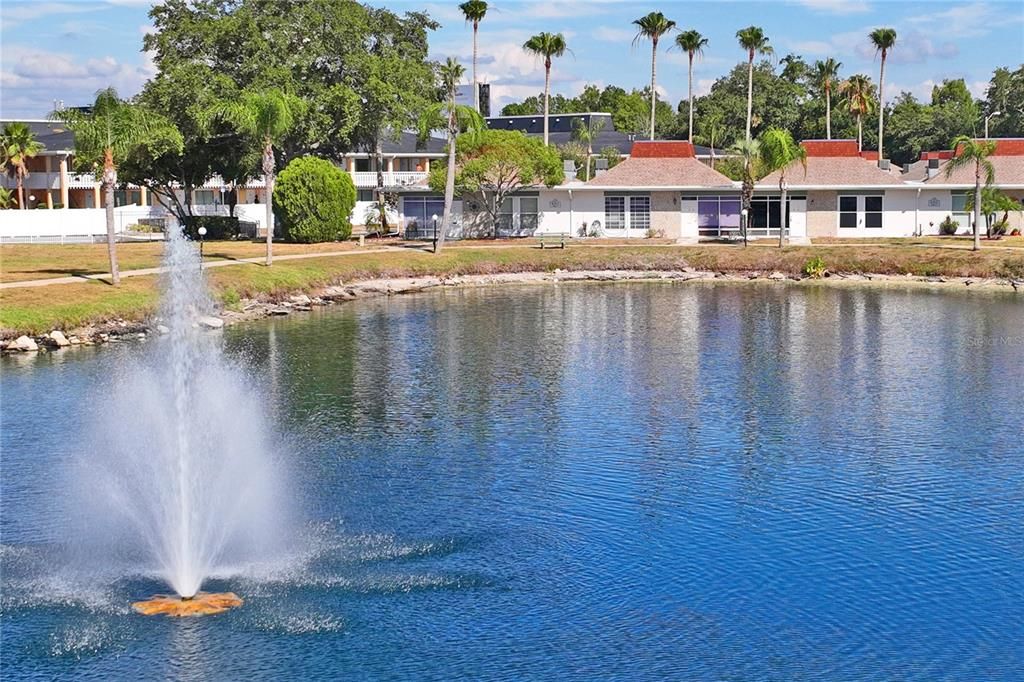 Beautiful water fountain for your enjoyment.