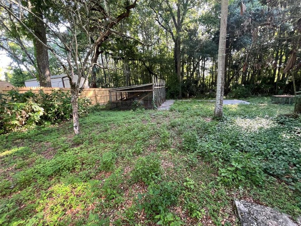 Yard with Dog Kennels on Concrete Slab