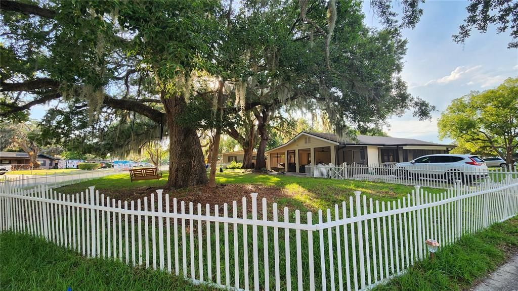 Fenced yard corner lot