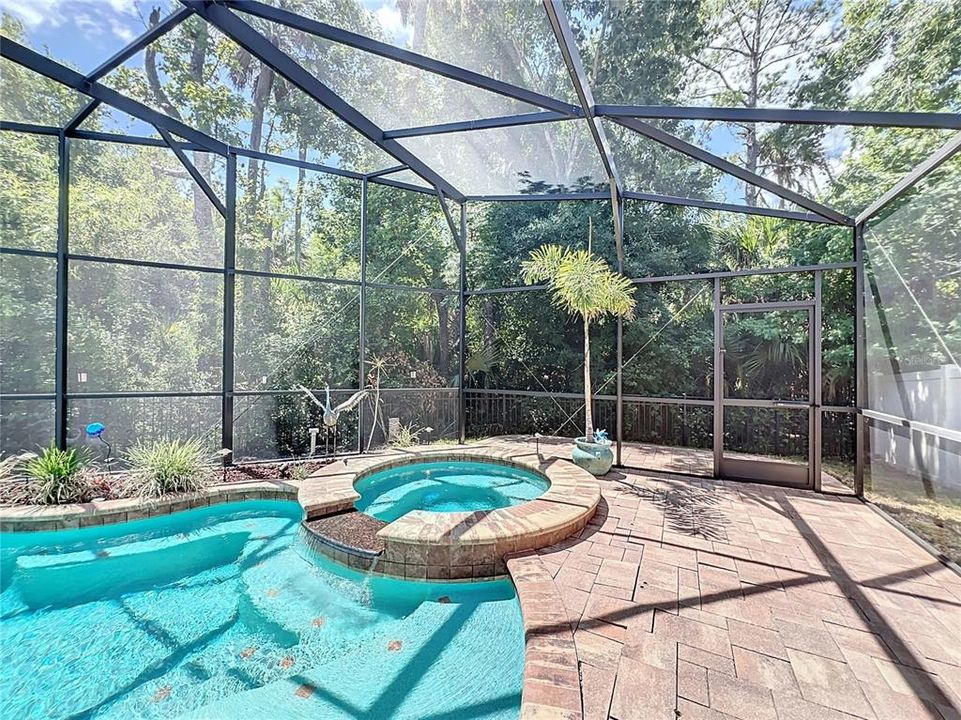 Spa and rear patio overlooking conservation area