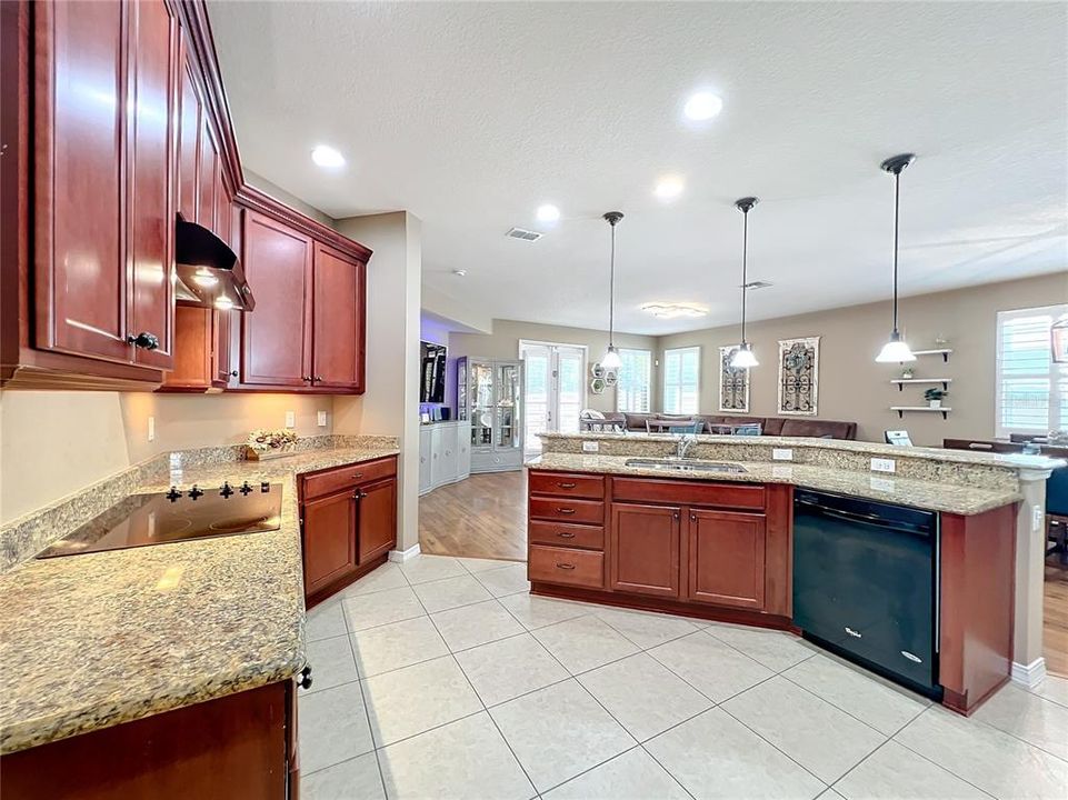 Large Kitchen overlooking the Living room