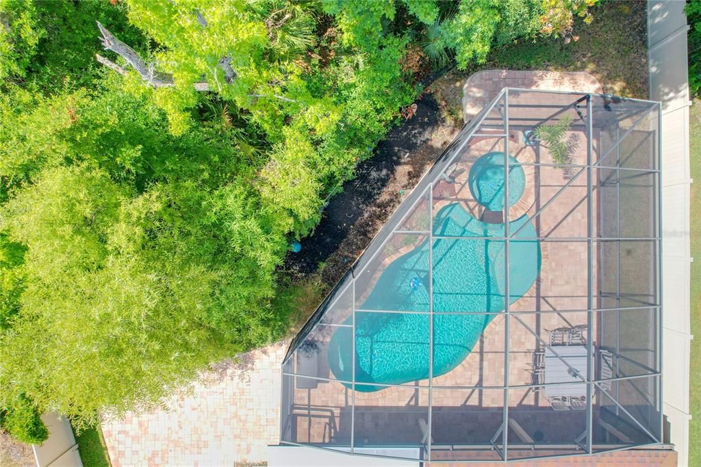 Overhead of pool/spa and conservation area