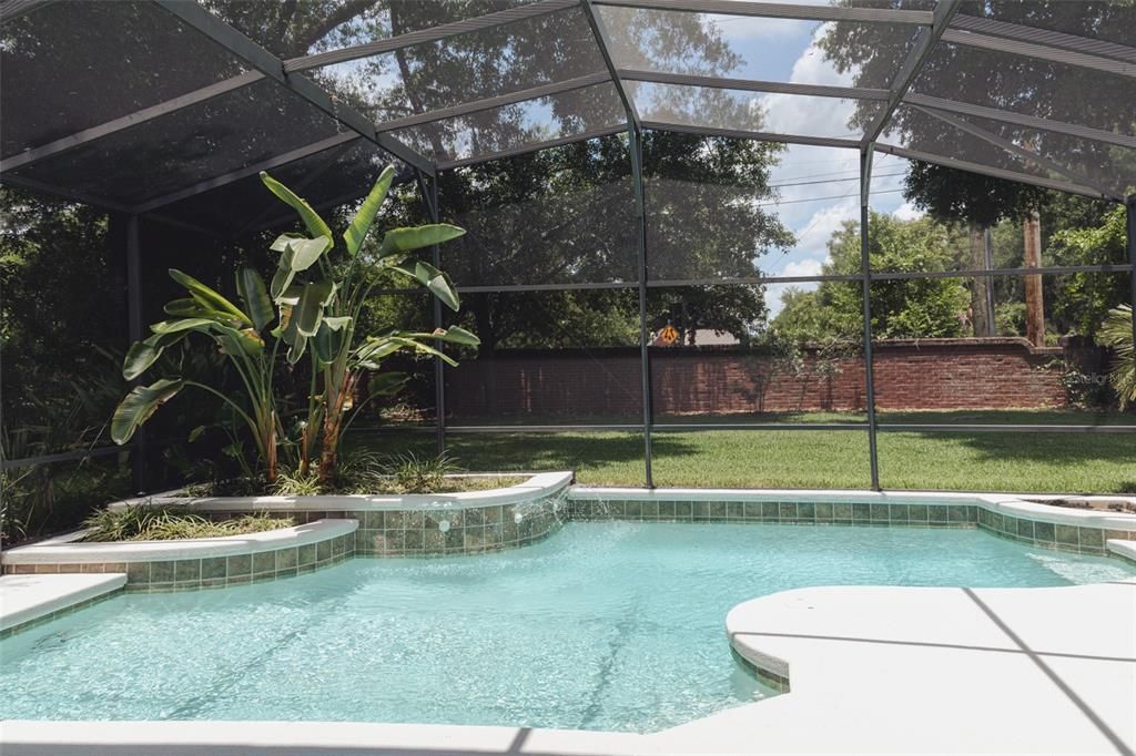 Beautiful Pool and Backyard