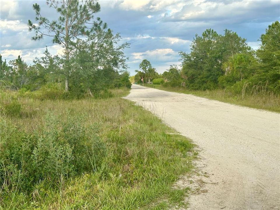 Looking east down Clara Dr