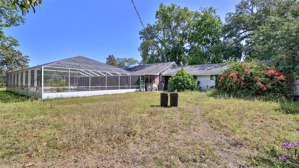 Spacious Backyard 1