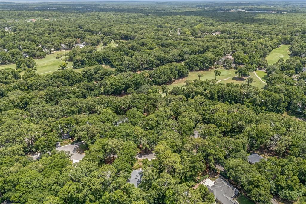 Aerial of Home