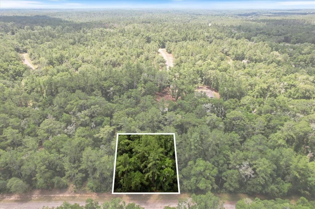 Homesite is 78'x125' or .23 acres