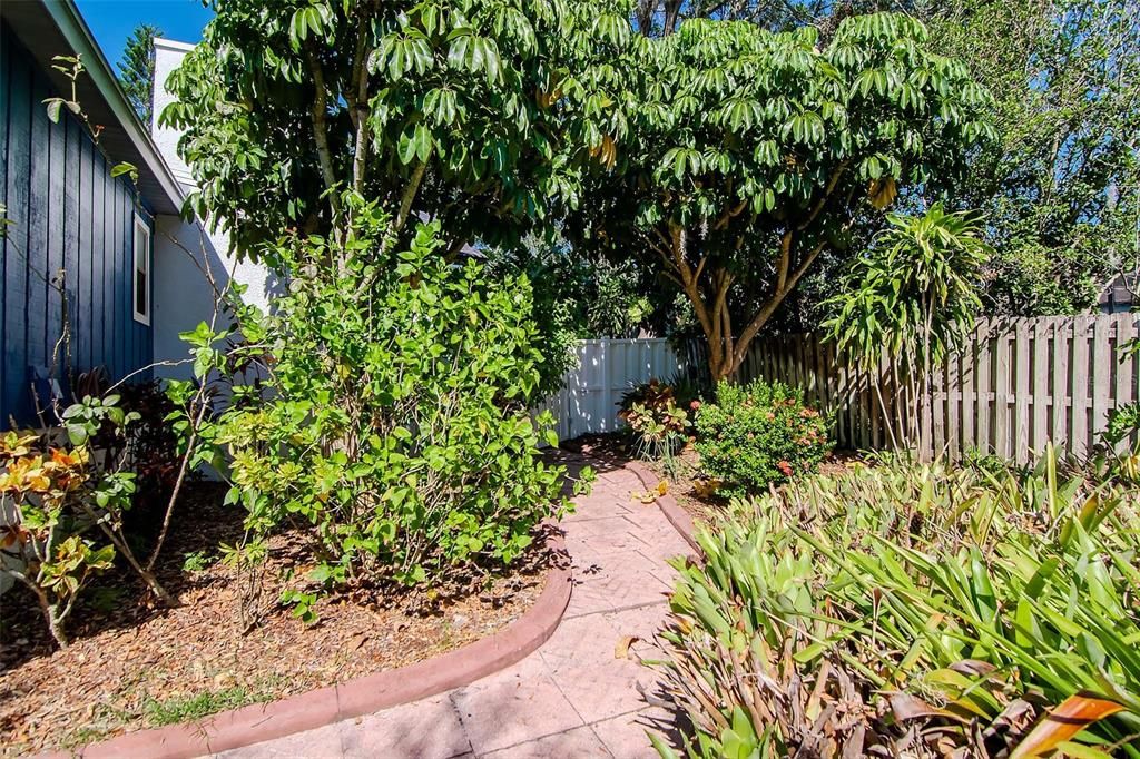 Lush Mature Landscaping and Trees in Backyard