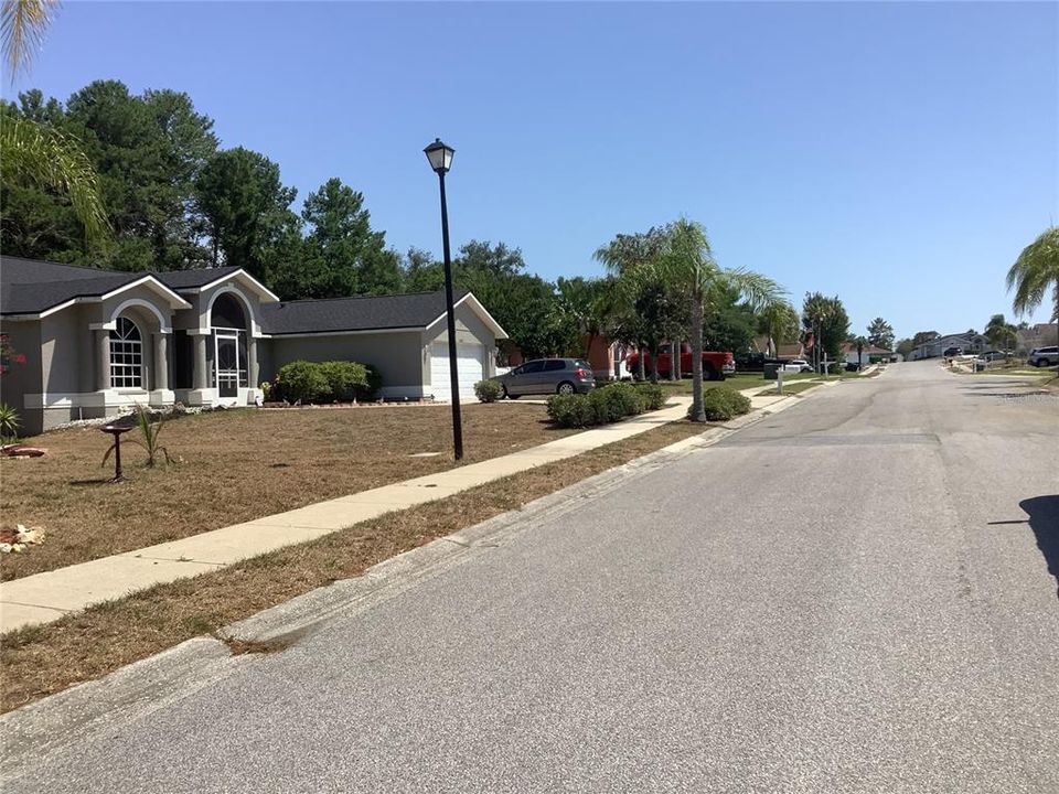 Street view of neighboring homes and street lights