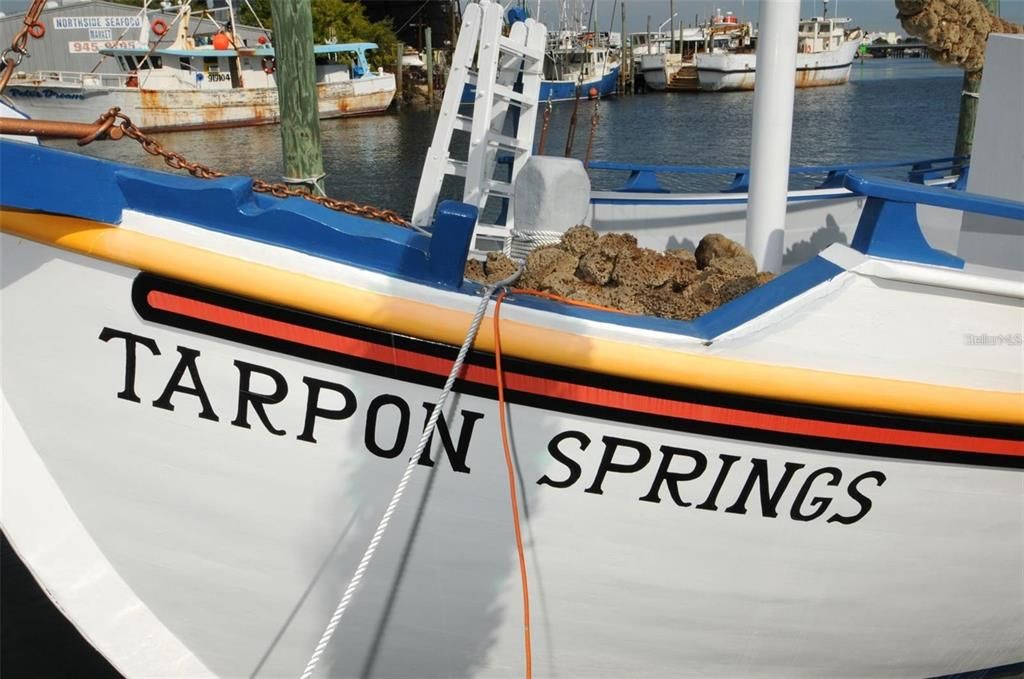 Sponge docks boat