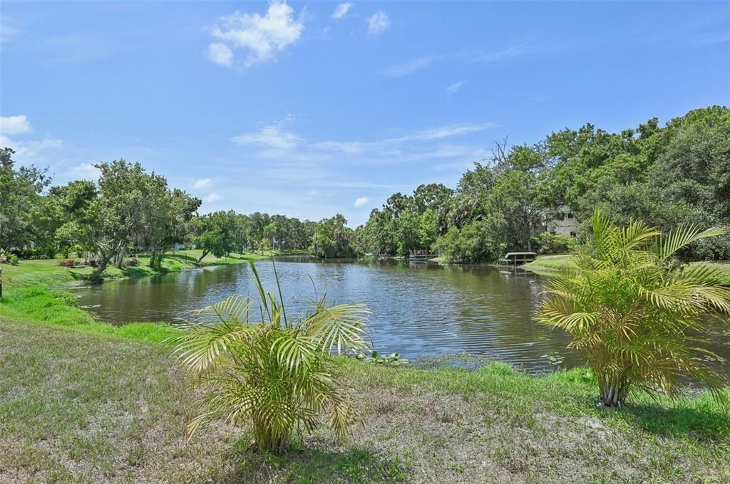 Neighboring lake