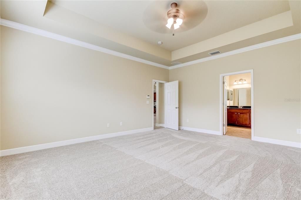 huge primary bedroom with beautiful tray ceiling and crown molding