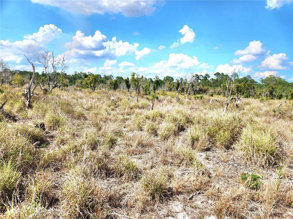 En Venta: $250,000 (9.47 acres)