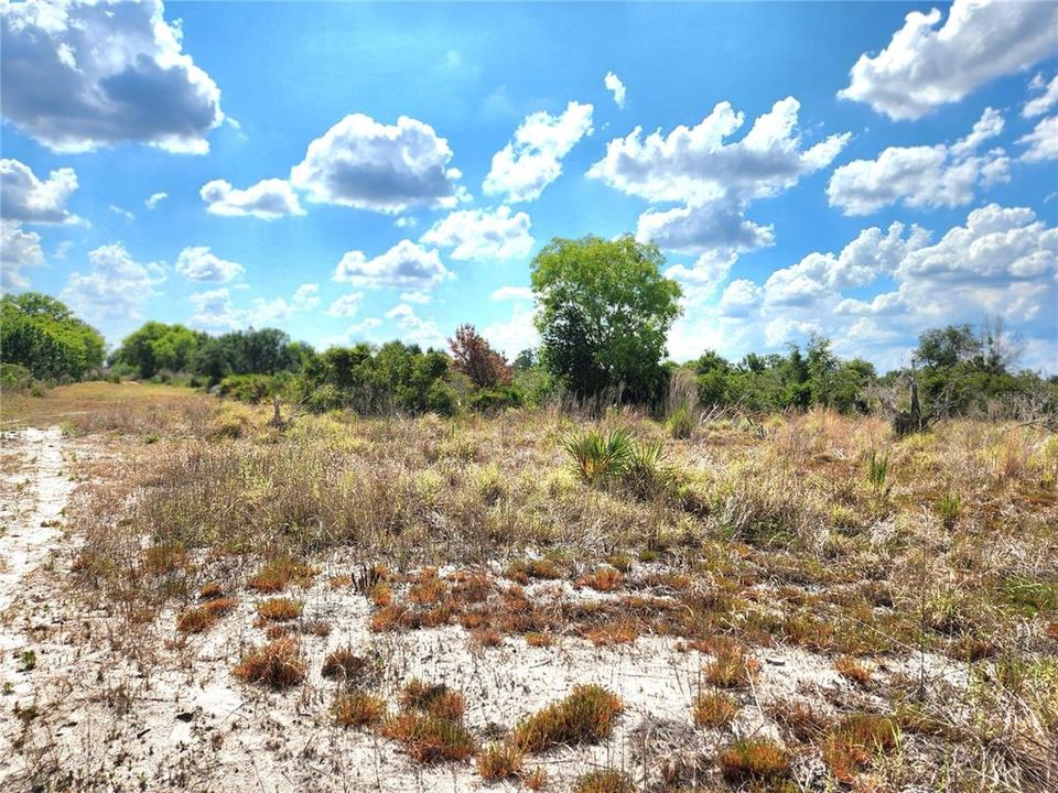 En Venta: $250,000 (9.47 acres)