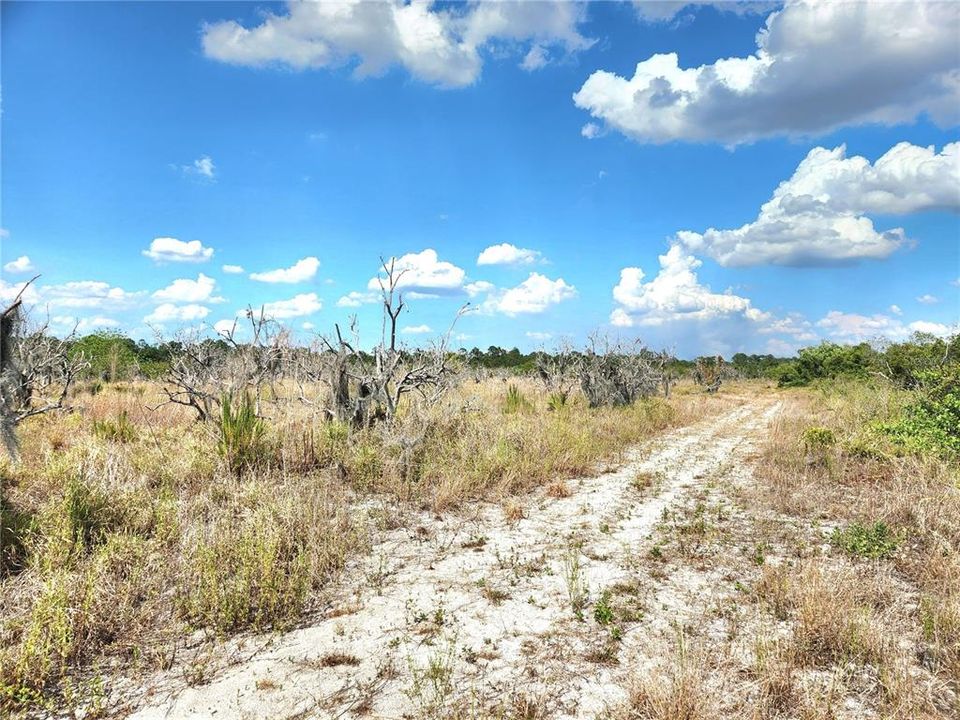 En Venta: $250,000 (9.47 acres)