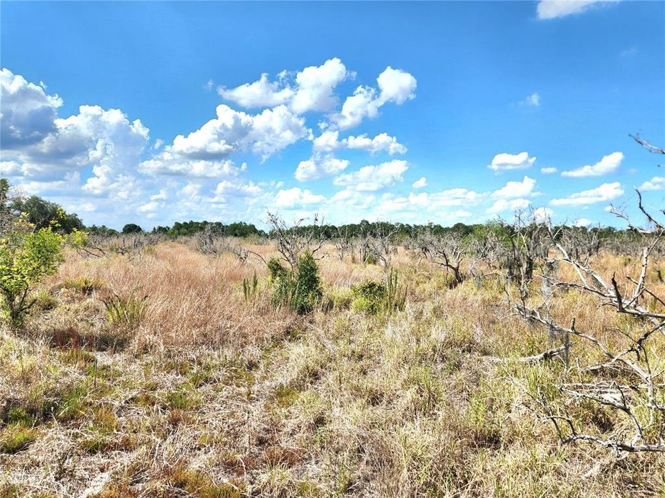 En Venta: $250,000 (9.70 acres)