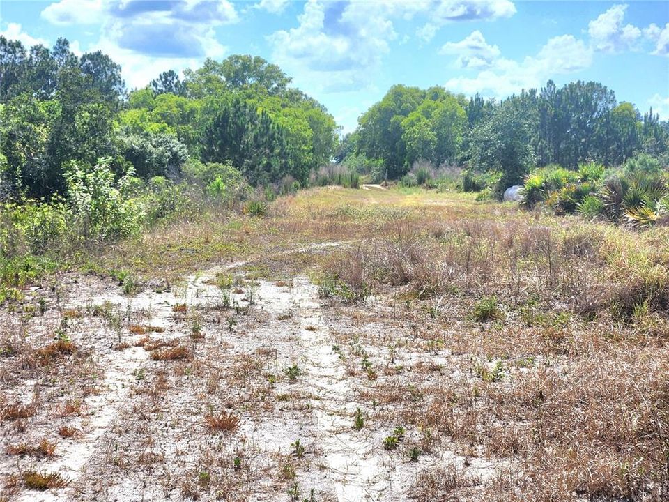 For Sale: $250,000 (10.21 acres)