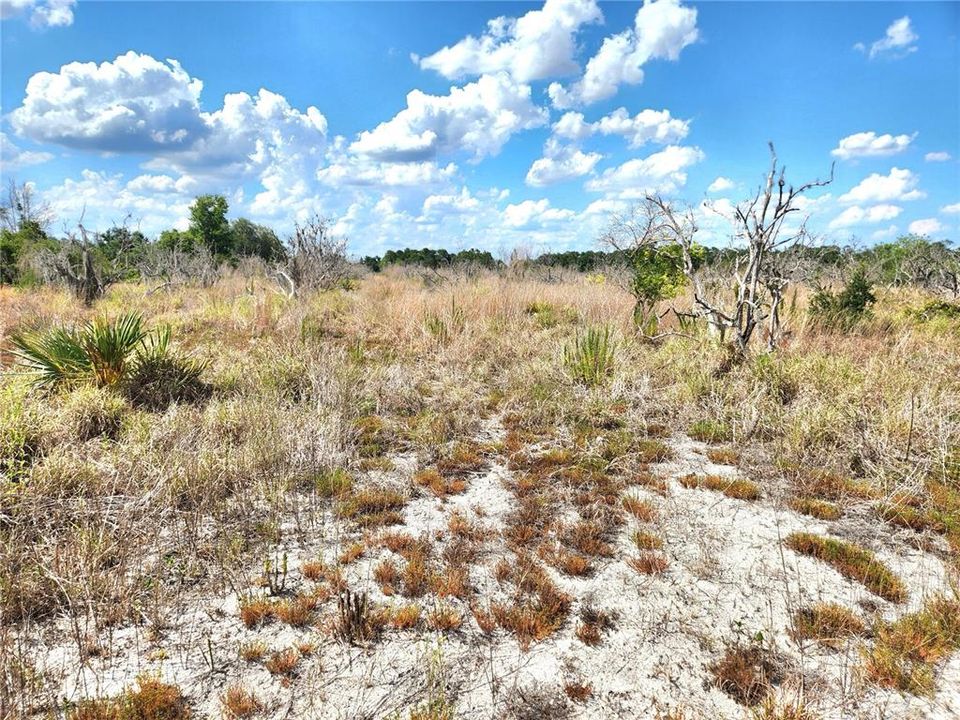 For Sale: $250,000 (10.21 acres)