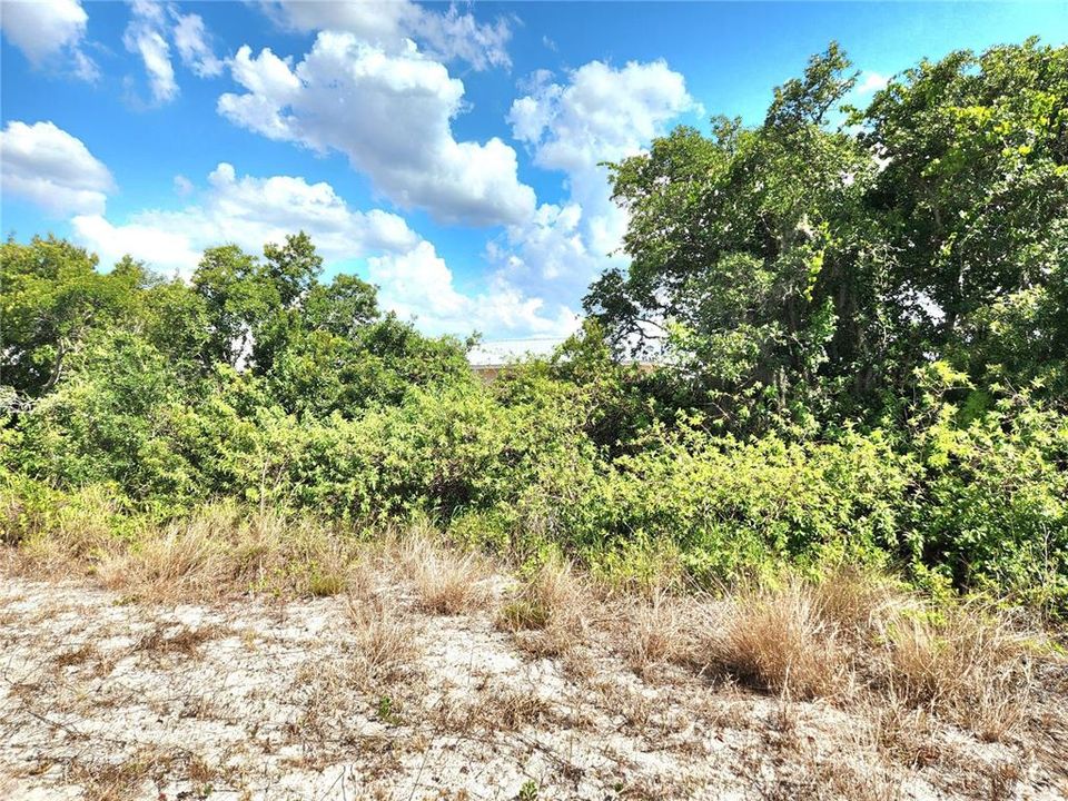 For Sale: $250,000 (10.21 acres)