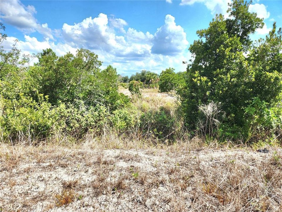 For Sale: $250,000 (10.21 acres)