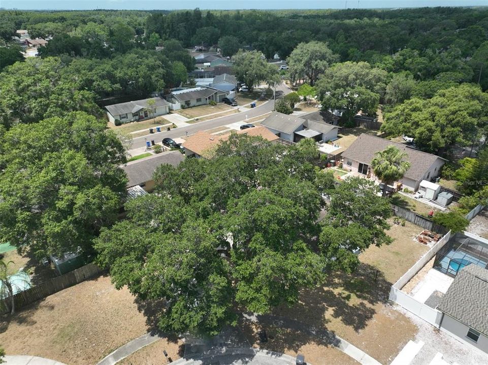 Active With Contract: $349,900 (3 beds, 2 baths, 1355 Square Feet)