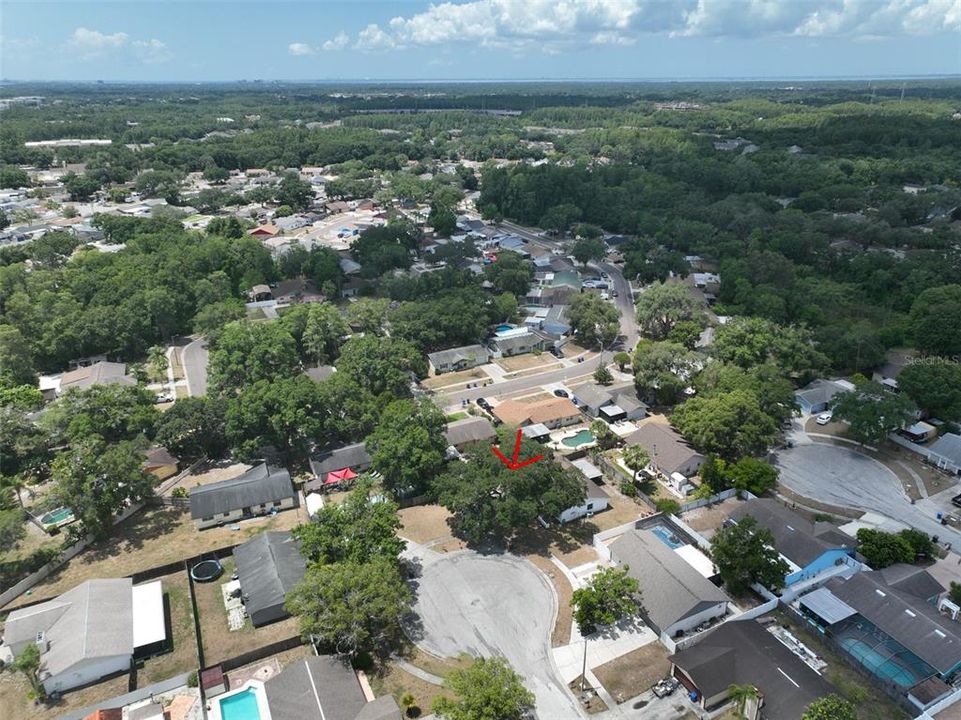 Active With Contract: $349,900 (3 beds, 2 baths, 1355 Square Feet)