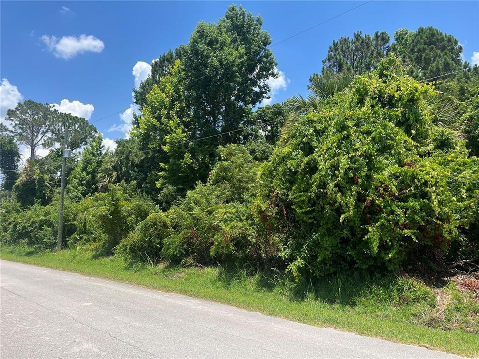 Active With Contract: $85,000 (0.34 acres)