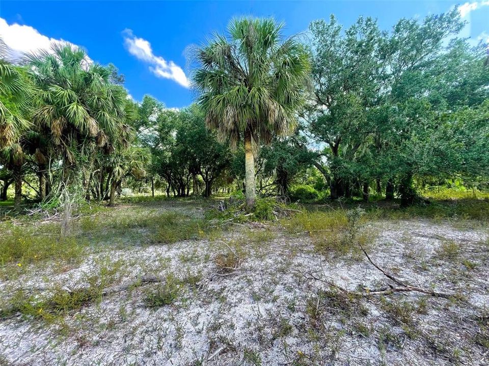 For Sale: $120,000 (5.00 acres)