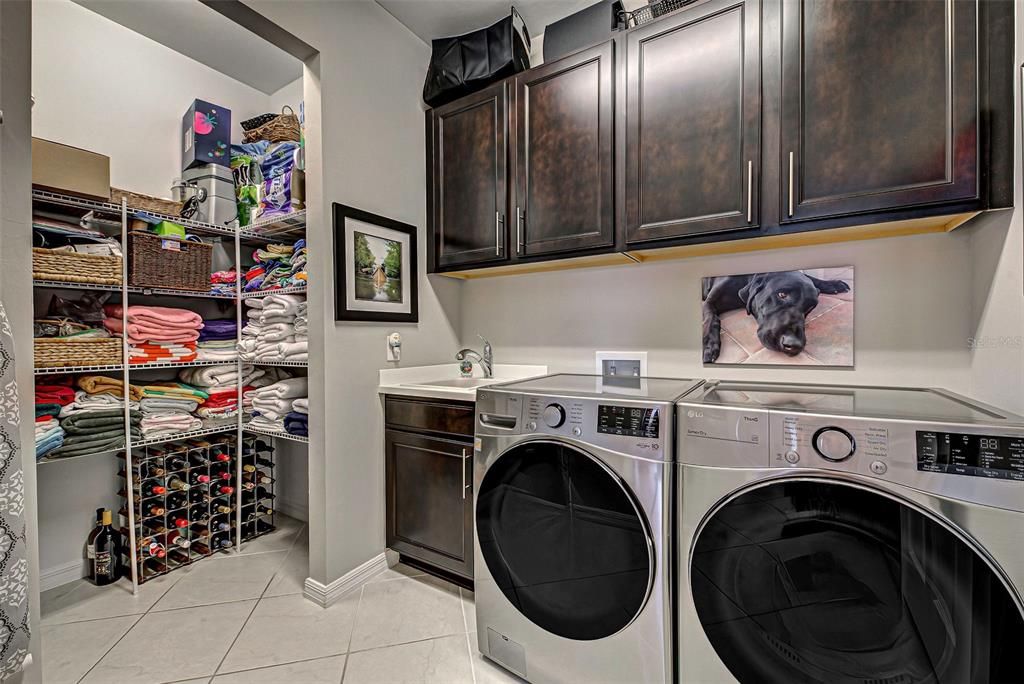 Laundry room has extra storage, sink, extra cabinets and new top of the line washer and dryer.