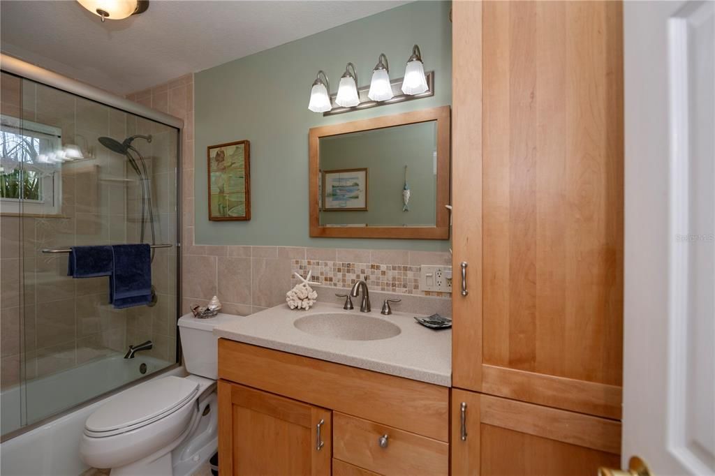 Guest bathroom