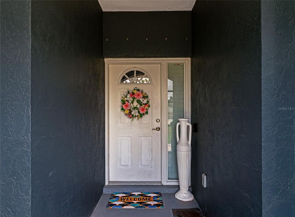 Front entry door