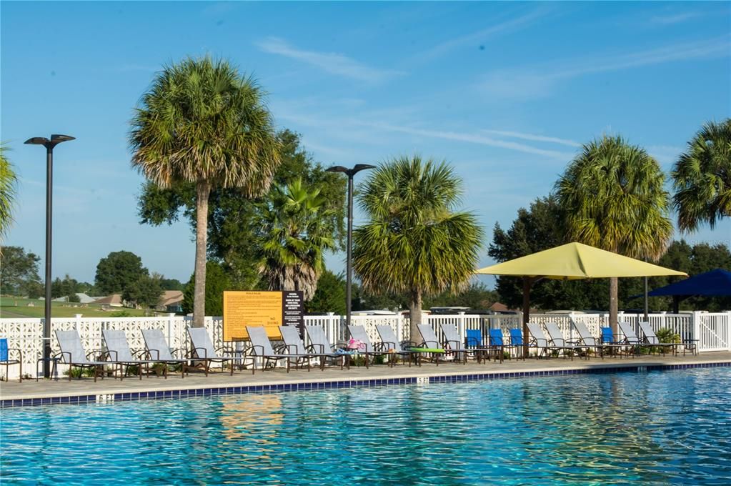 The golf course is behind the pool