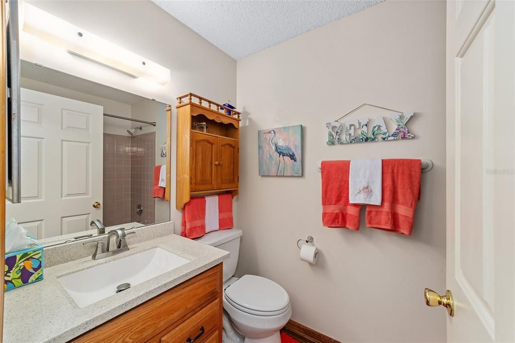 Guest bathroom