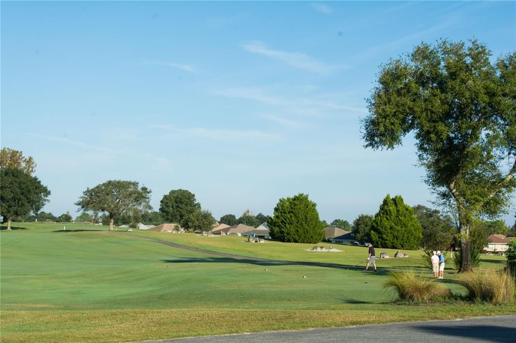 View of one of the 3 golf courses