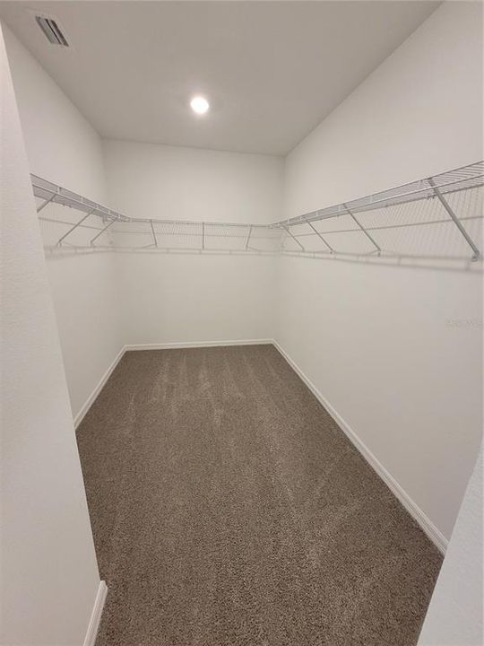 Master walking closet