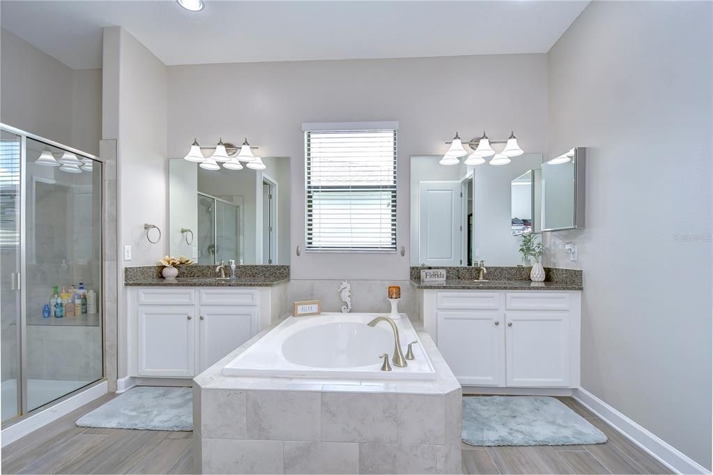 Master bathroom