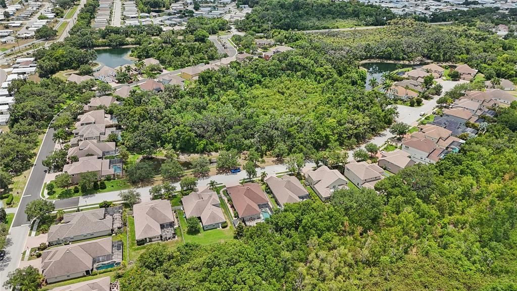 AERIAL VIEW-NO BACK YARD NEIGHBORS