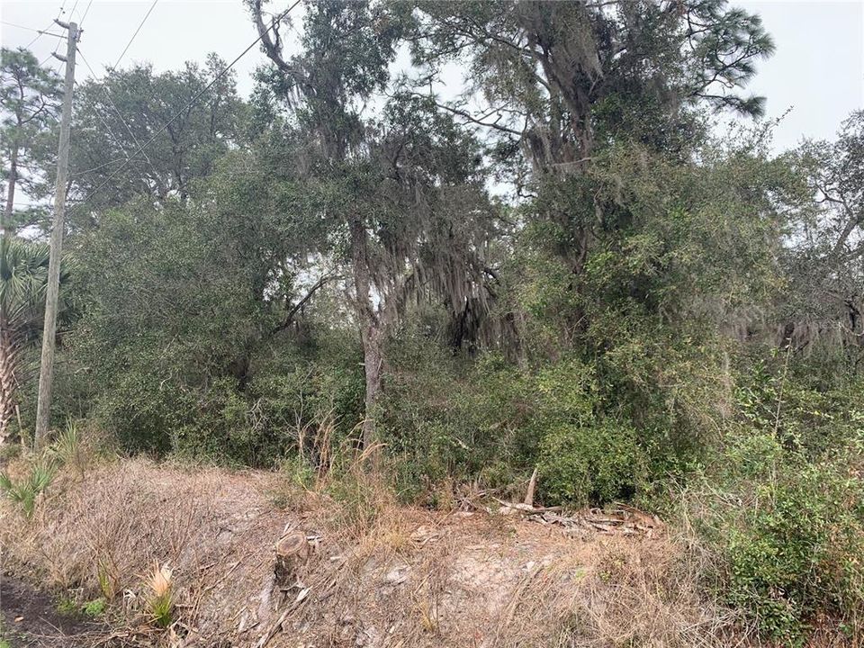 En Venta: $299,000 (4.10 acres)