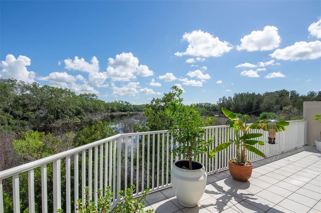 Beautiful Views from the Veranda!