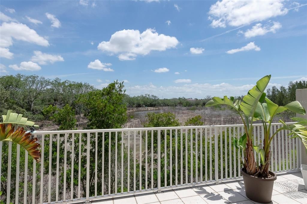 Your view of the Bayou and natural wildlife.