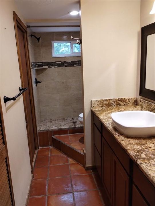 Downstairs bath facing shower.